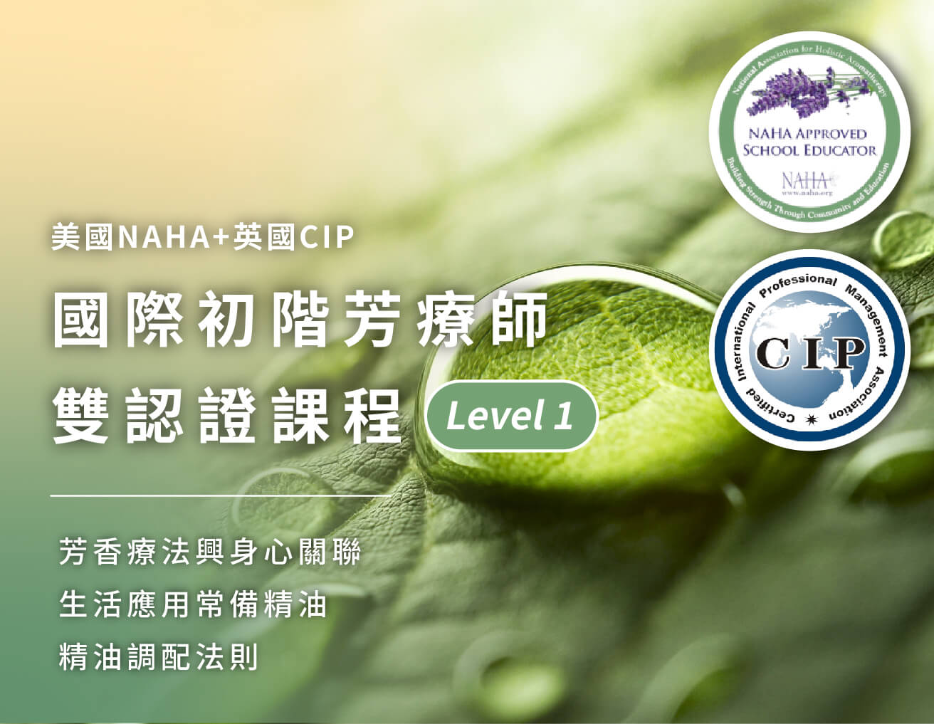 國際芳療師雙認證課程|初階