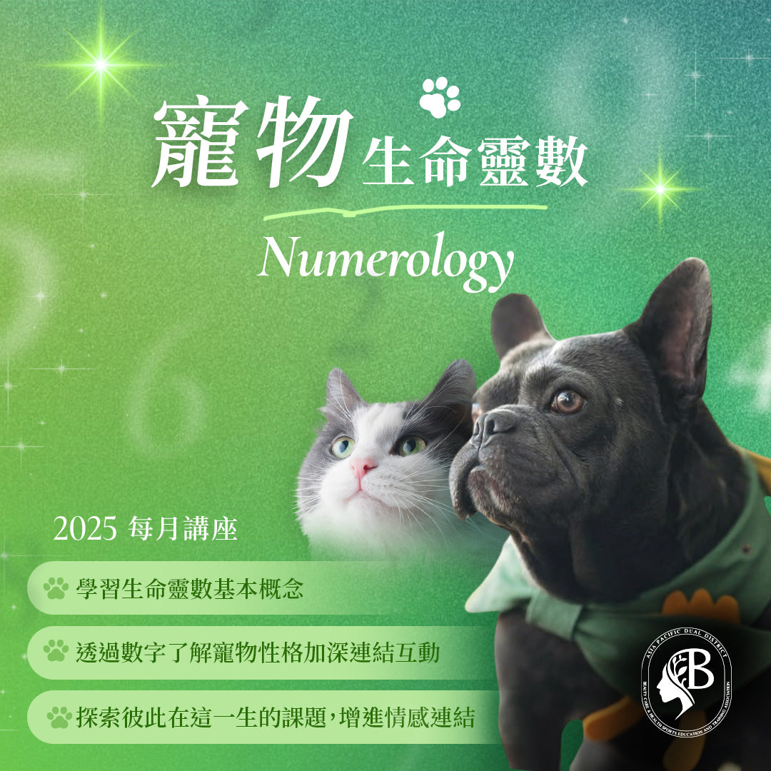 寵物生命靈數工作坊